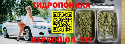 СК Донецк