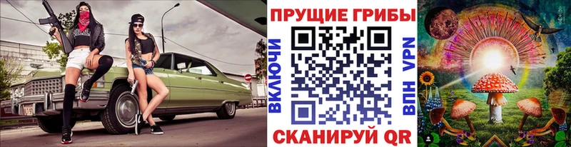 где найти   Люберцы  Псилоцибиновые грибы Magic Shrooms 