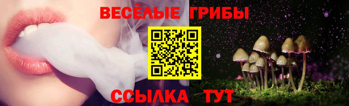 Люберцы  закладка  Вход с VPN  Псилоцибиновые грибы Magic Shrooms 